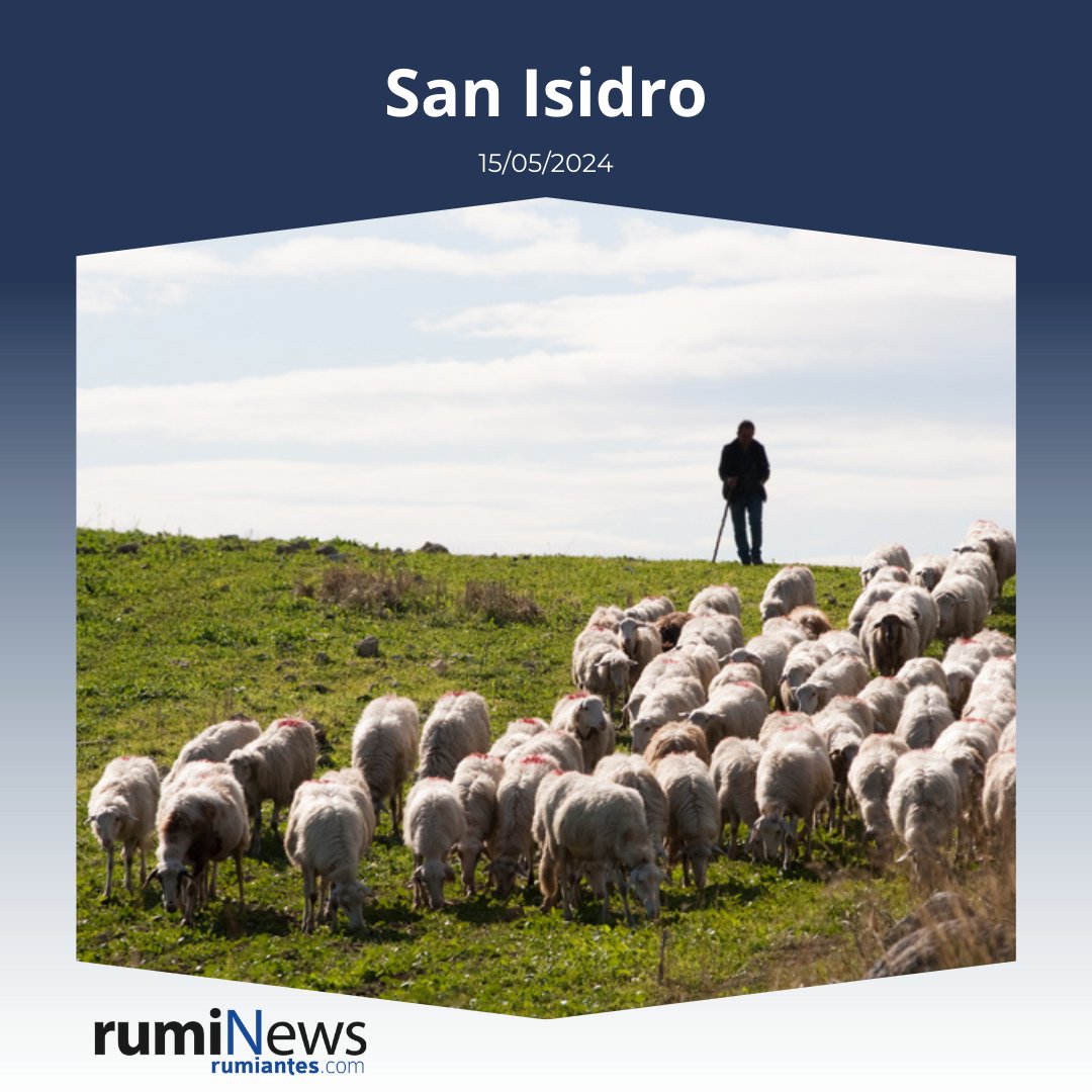RumiNewsrevista's tweet photo. ¡Feliz día de #sanisidro a todos los #agricultores y #ganaderos! Celebramos y reconocemos el arduo trabajo y la dedicación de aquellos que cultivan la #tierra y cuidan del #ganado 🚜🐑 Gracias por vuestro esfuerzo incansable y por ser pilares fundamentales en nuestra #comunid https://t.co/yKIJyLzYfq