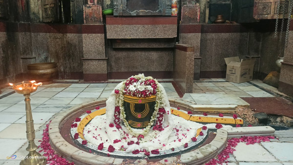 श्री परली बैद्यनाथ ज्योतिर्लिंग जी के आज के संध्या/शयन आरती दिव्य व अदभुत श्रृंगार दर्शन 15.05.2024
