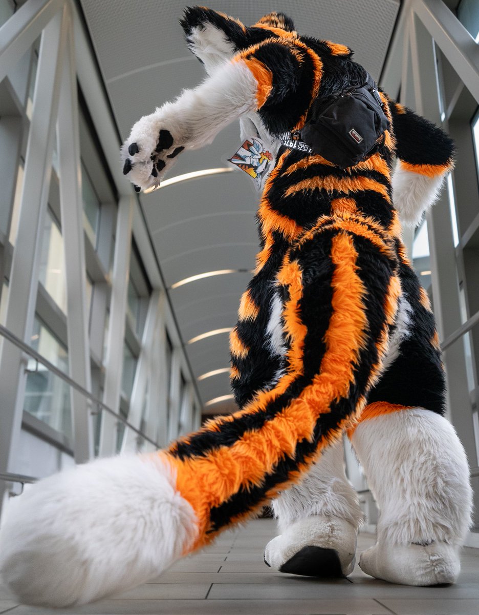 Can u quote or reply with your tails??
I'm in a silly mood, and I love tails! :>
#furry #fursuit