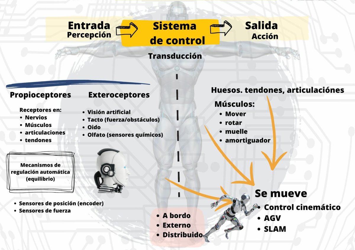 Estaba buscando otras cosas pero me he topado con estas infografías basadas en el libro de Elena García Armada, “Los robots y sus capacidades”. Complementan bien la explicación a #ESO y #bach #RoboticaEducativa
