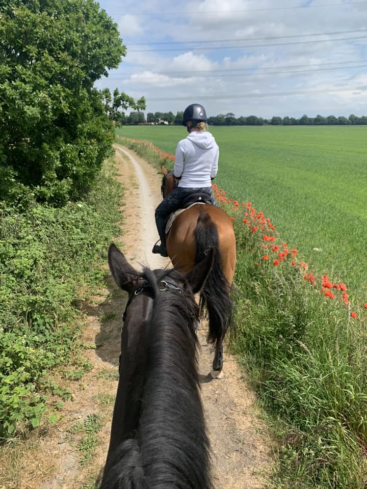 It's #HorseRescueDay and the opportunity to consider the care and rehabilitation of horses in need and the fostering of a brighter future for them. Show your support for equine welfare by sharing your photos of horses on the trail. @BritishHorse #equinewelfare 📷: Louise Moxon