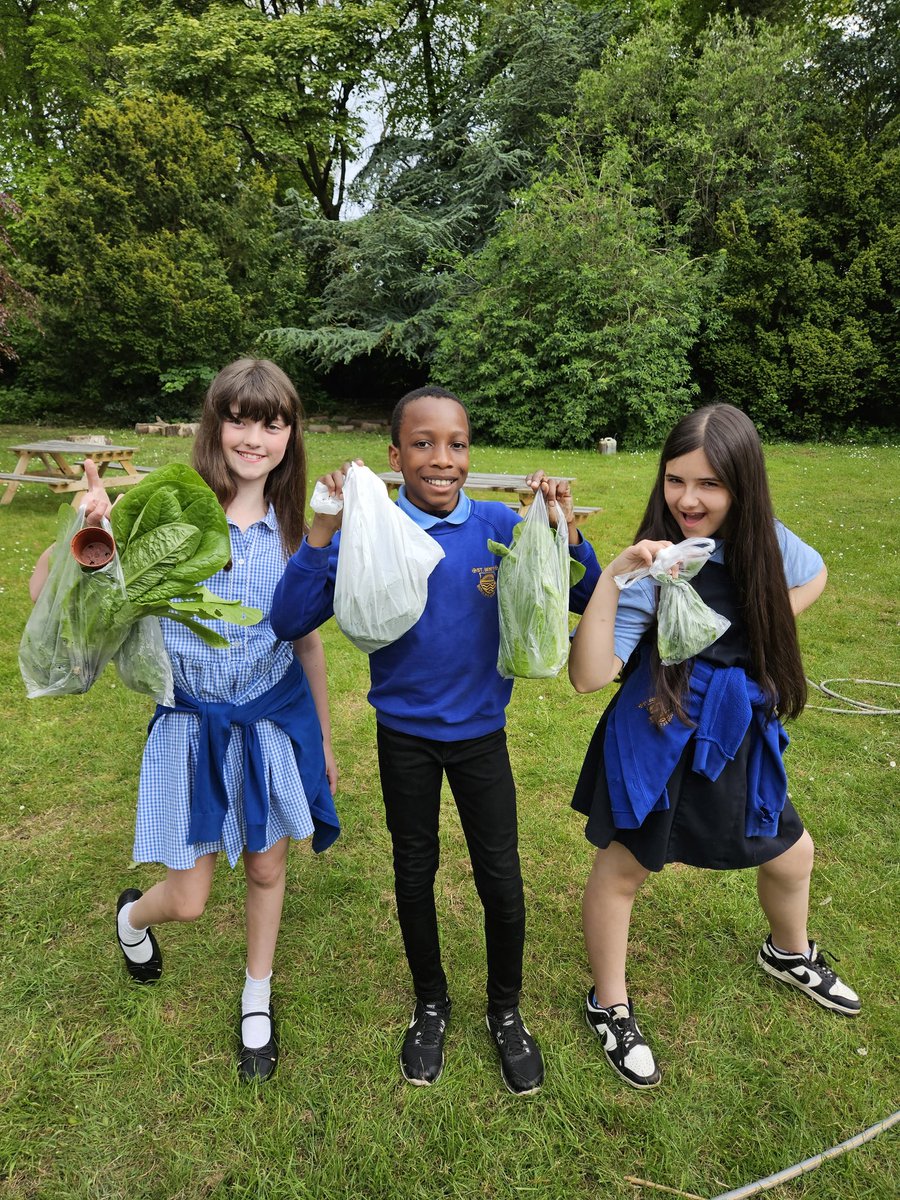 Collecting produce from our allotment!