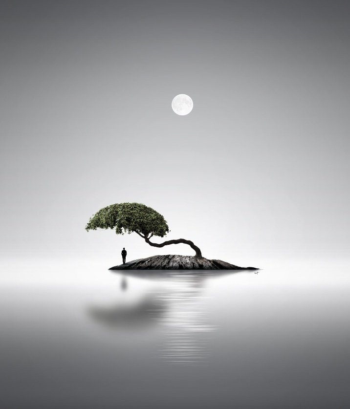 🖤🤍 Good evening Full Moon, Lonely Tree and Lonely Man. by Kathrin Federer