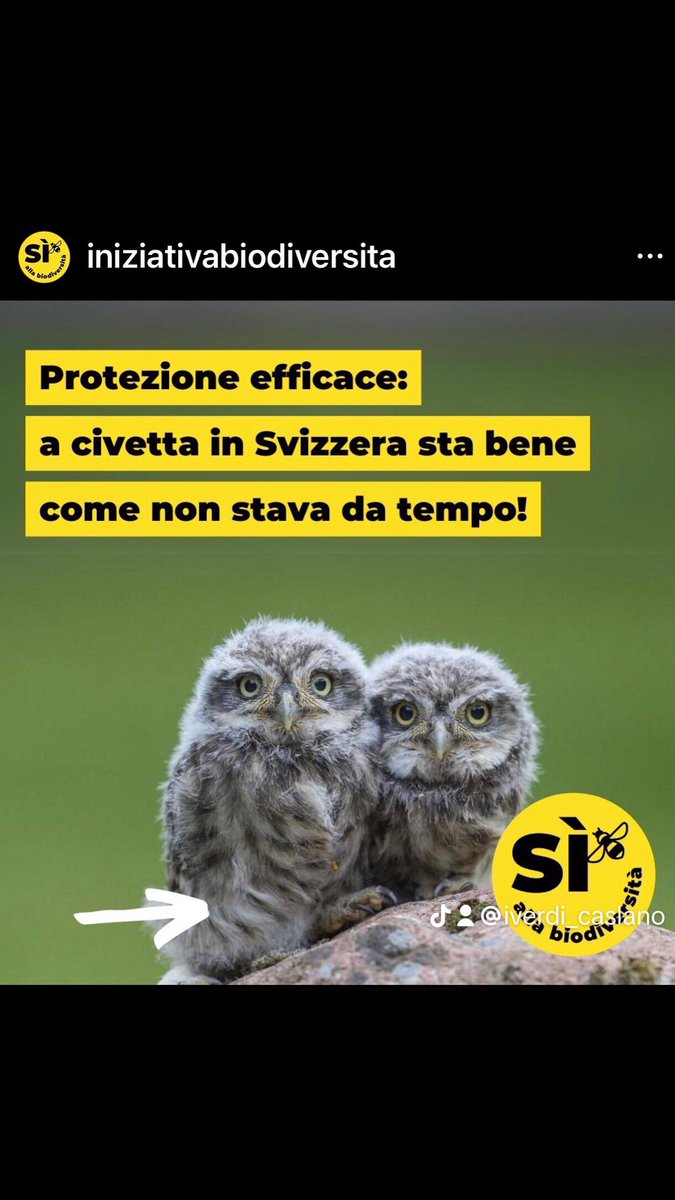 Associazioni Orti 🇨🇭Caslano (@caslanoorti) on Twitter photo 