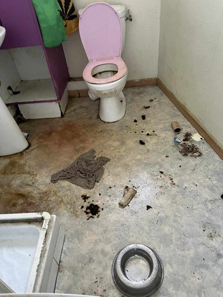 AlertesInfos's tweet photo. 🐕🇫🇷 FLASH - Nikita, une chienne staffie, a été enfermée et battue pendant sept ans dans la salle de bain d'un homme vivant à Guéméné-Penfao, en Loire-Atlantique. Le pauvre animal vivait dans ses excréments, ne sortait jamais et était battu. Elle a désormais besoin d'une nouvelle famille qui pourrait l'accueillir. (Actu)