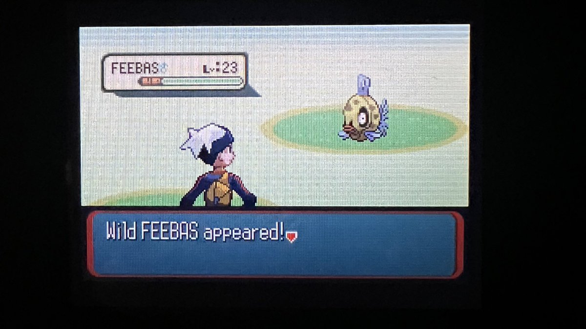 Neuroprincesa's tweet image. Todos quieren el premio pero no el trabajo que implica 🤪🤣
El más tedioso de la generación se logró, en camino al living dex intergeneracional
#feebas #PokemonRSE