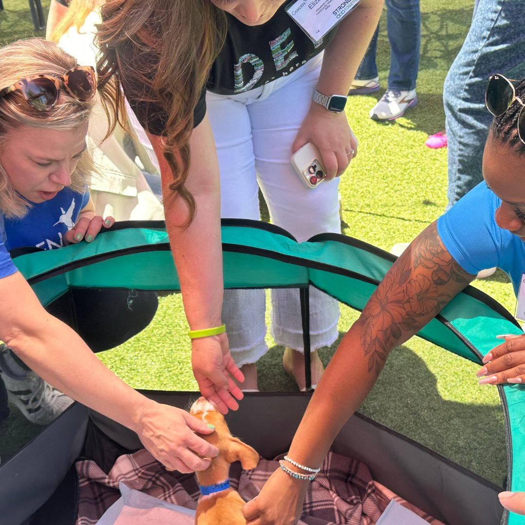 Five pets are headed to their new homes around the US this am after Camden Properties hosted their annual leadership conference in HTown yesterday. Some of their animal lovers were ready for a new family member and we couldn’t be more excited for all!! 🐶