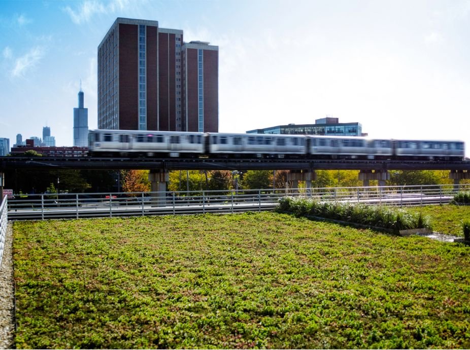 Nice read on the Dutch approach to green roofs & sponge cities, as urban areas globally struggle with increased rainfall. Did you know that many buildings in Chicago—the Ace Hotel, the Chicago Bulls training facility, etc.—use Dutch green roof tech? 🇳🇱🌧️🇺🇸 theguardian.com/environment/20…