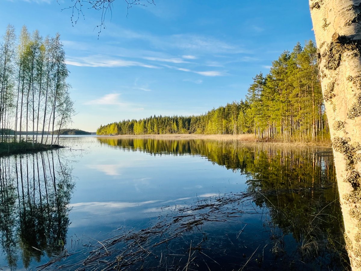 This is Finland 💚🇫🇮

#Saimaa #Lappeenranta #Suomi #Finnland