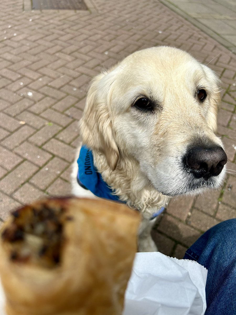 If I pretend not to look at veteran’s #haggis #sausageroll do you think he will share it with me?