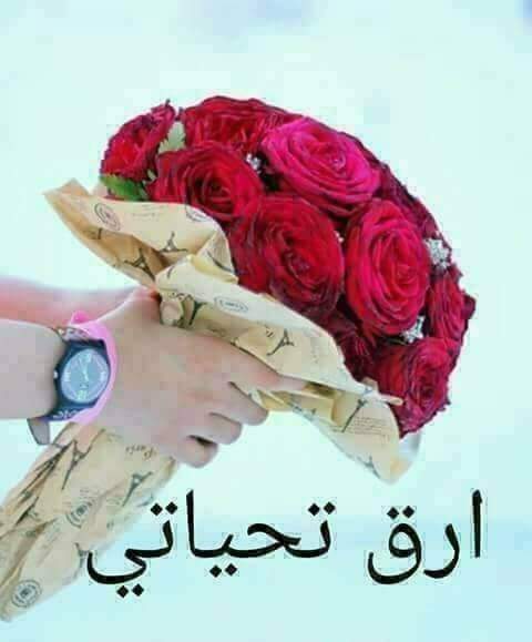 @Nicotine112 @MOHAMEM94659971 @m3issaa @abdull3h_1075 @dmlksh778 @A7med_abotaleb8 @malo2a @AboseifUa @1Elshrkawy @Fav_ahmed088 @urfavb44 @2_apojwas @msh70958 @ZAMALKY515 @AMEEr118369 @abrahmal712 @dede53963 @krymmrw52120429 @Mohamed_His7am @so3da99301318 اشكرك علي الدعم المميز