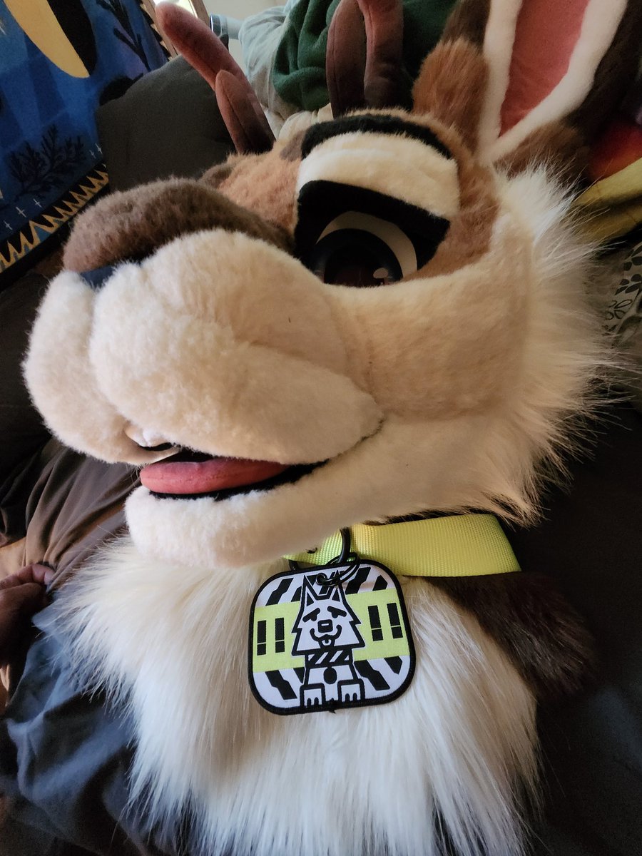 YOU MUSTN'T LISTEN TO HIS LIES HE IS NOT A GOOD ANIMAL Saw this tag from @howl_out and I mean come on...perfect match for the collar.