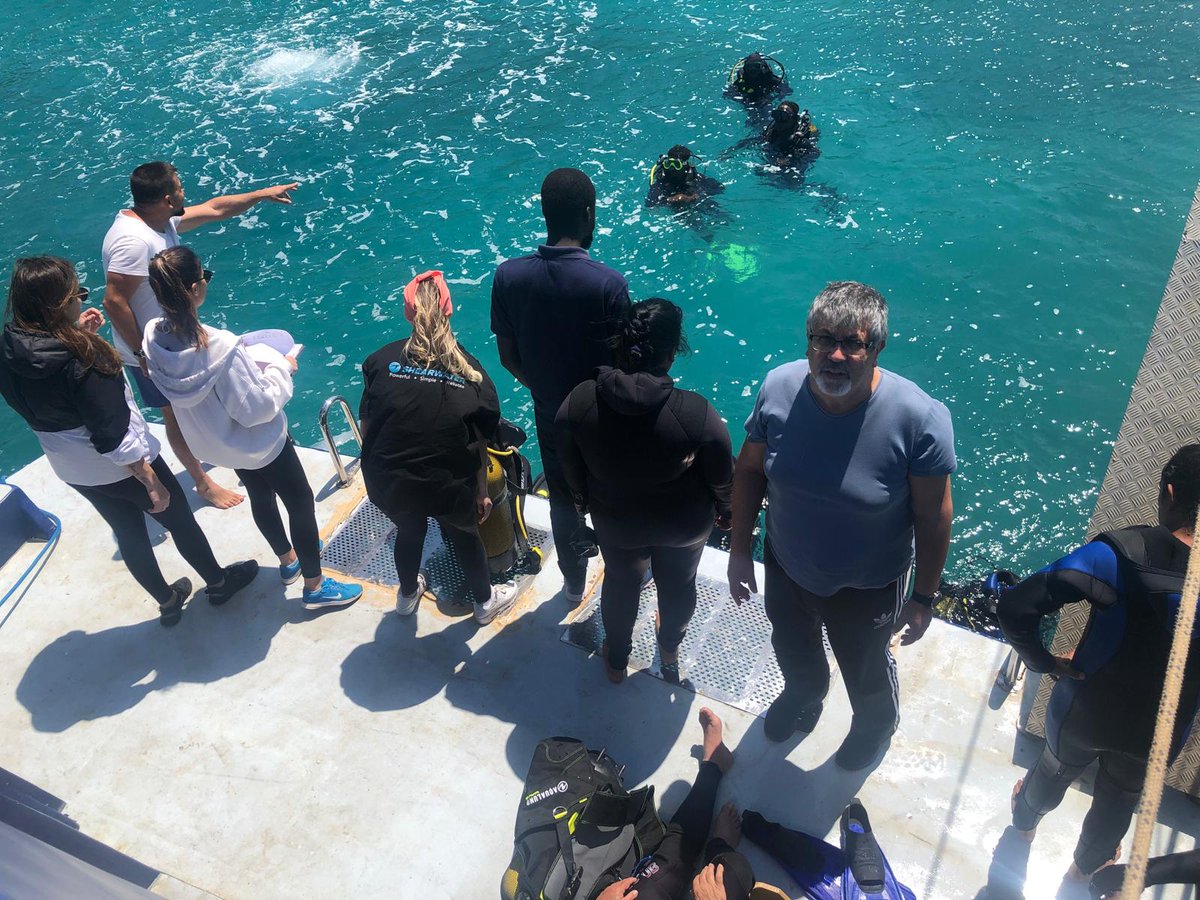 proje ekibimizin çalışmaları hızla devam ediyor.