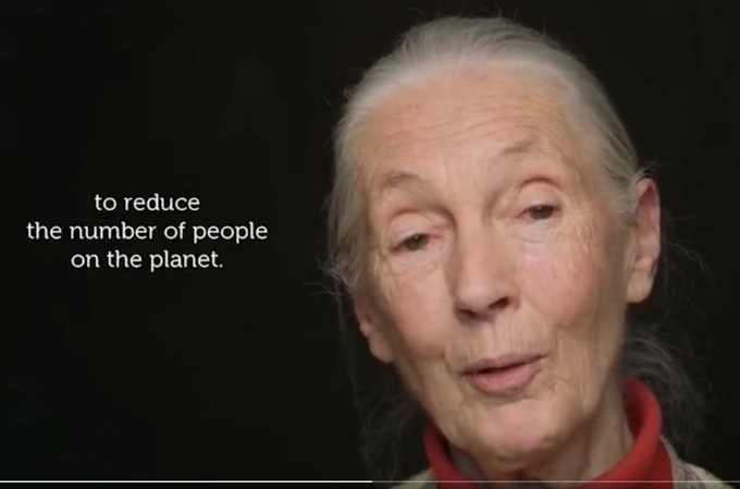 Jane Goodall, 'collaboratrice dell'agenda' del WEF e  dell'ONU: 'il mio sogno  è quello di ridurre il numero delle persone sul pianeta. Siamo troppi. È un pianeta con risorse limitate e le stiamo esaurendo.'    

Ma sì, riprendiamo il lavoro iniziato in Germania negli anni '30