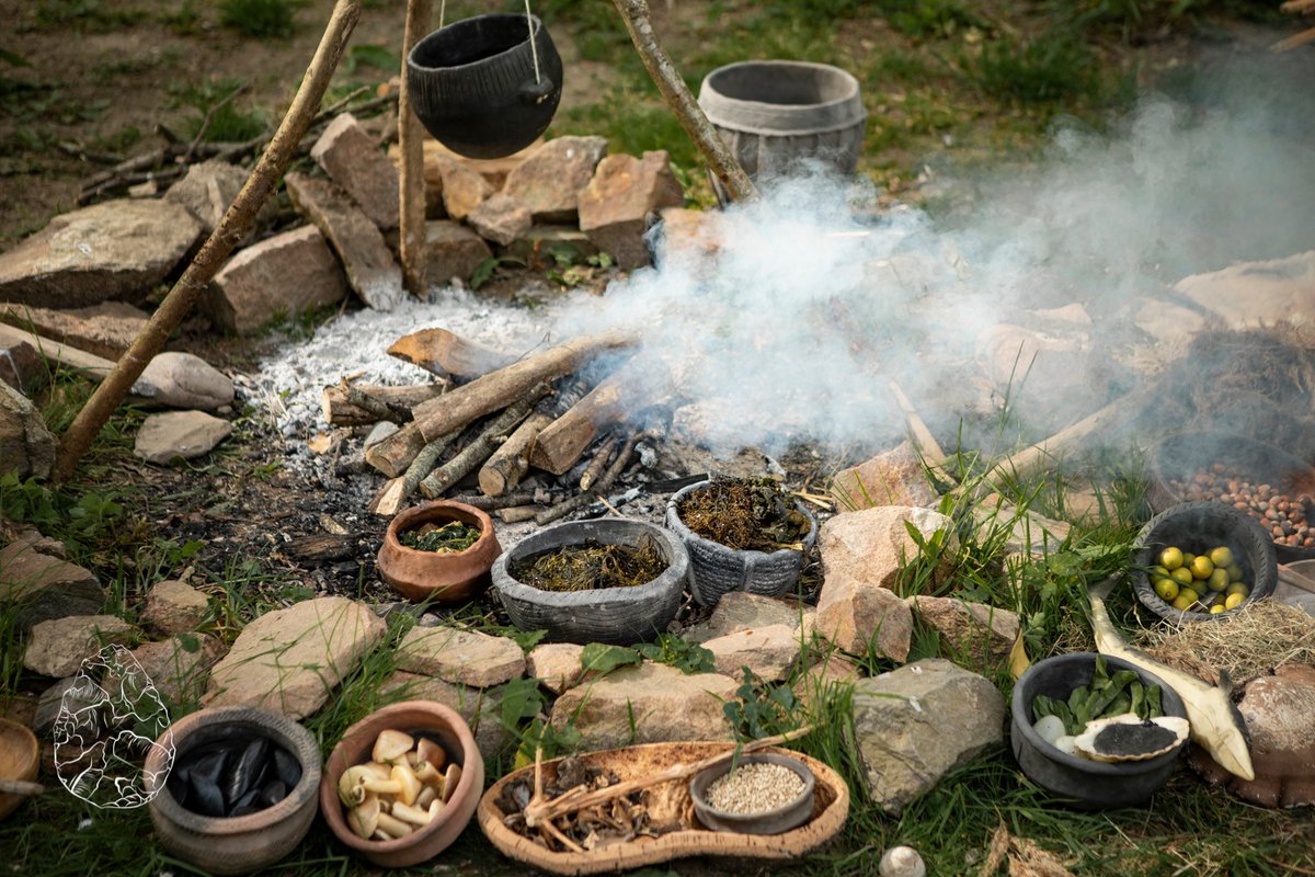 When we have the luxury of setting out a full living history display, I love to show some of the possible foods of prehistory. Its one of the best talking points with visitors as they see pots with unknown contents and ask “what's for dinner?” 📸 @emmalouwynjones