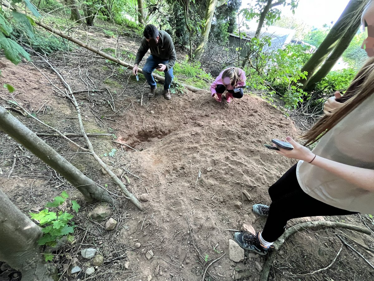 pearceenviro's tweet photo. Been delivering some Level 1 and Level 2 badger courses &amp; had really great feedback off attendees, we wanted to share.

"It was genuinely one of the most interesting training courses I’ve attended"
"I’m already applying a lot of what you have said to pre-existing badger projects” https://t.co/oNhY8XP8I0