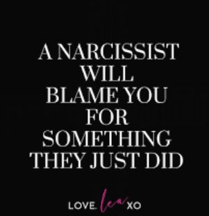 They do it every time... 👇👇👇👇🤥🤥😡🤦 #yourfault #narcissists