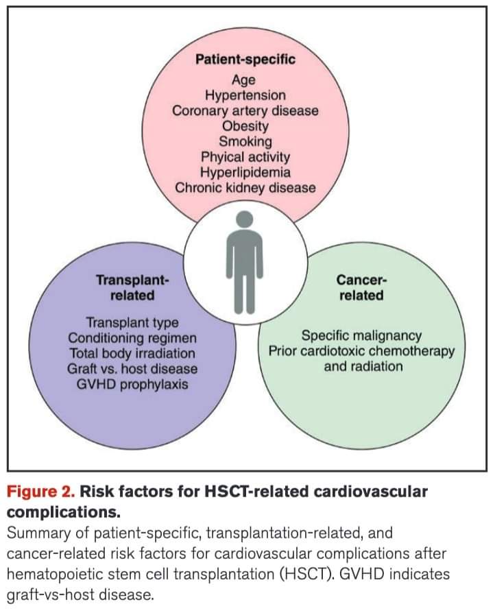 🔴 Cardiovascular Management of 👥 Undergoing Hematopoietic Stem Cell Transplantation: A Scientific 📝 From @American_Heart ahajournals.org/doi/abs/10.116… #PositionPaper #CardioHematology #CardioOncology