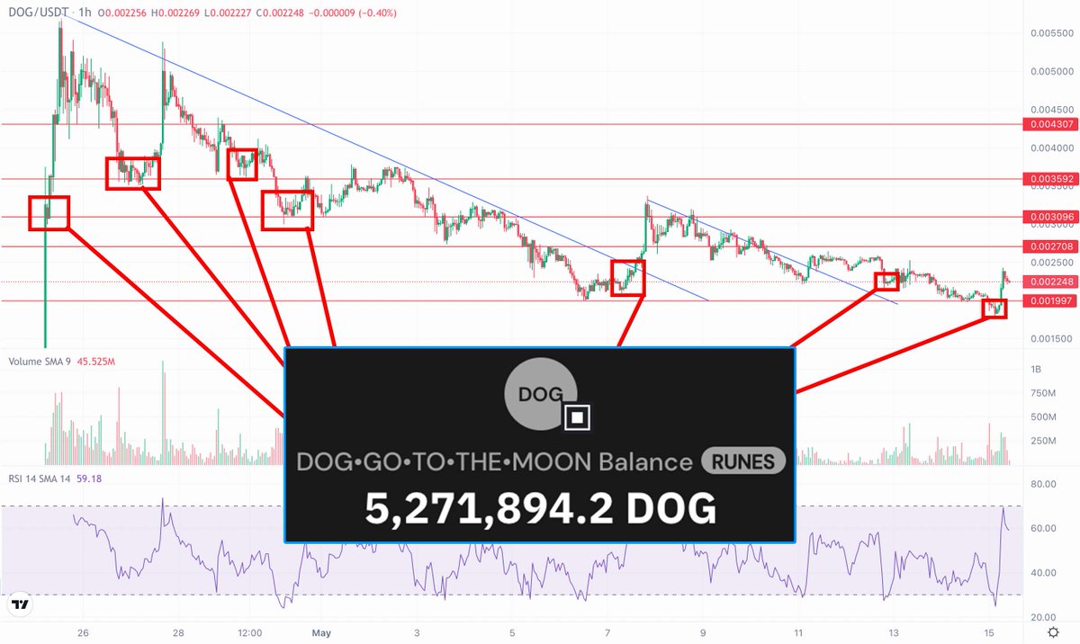 I am the Saylor of $DOG. Every dip I'll accumulate. Sell me your bags please.