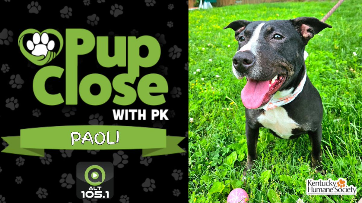 'Hello there, I'm Paoli! Life in a shelter isn't bad, but I dream of a home.' This sweet pup is our #PupCloseWithPK and @kyhumane adoptable dog of the week! Grab more info on how to add this fur-baby to your family at the link below!

alt1051.com/pup-close-with…