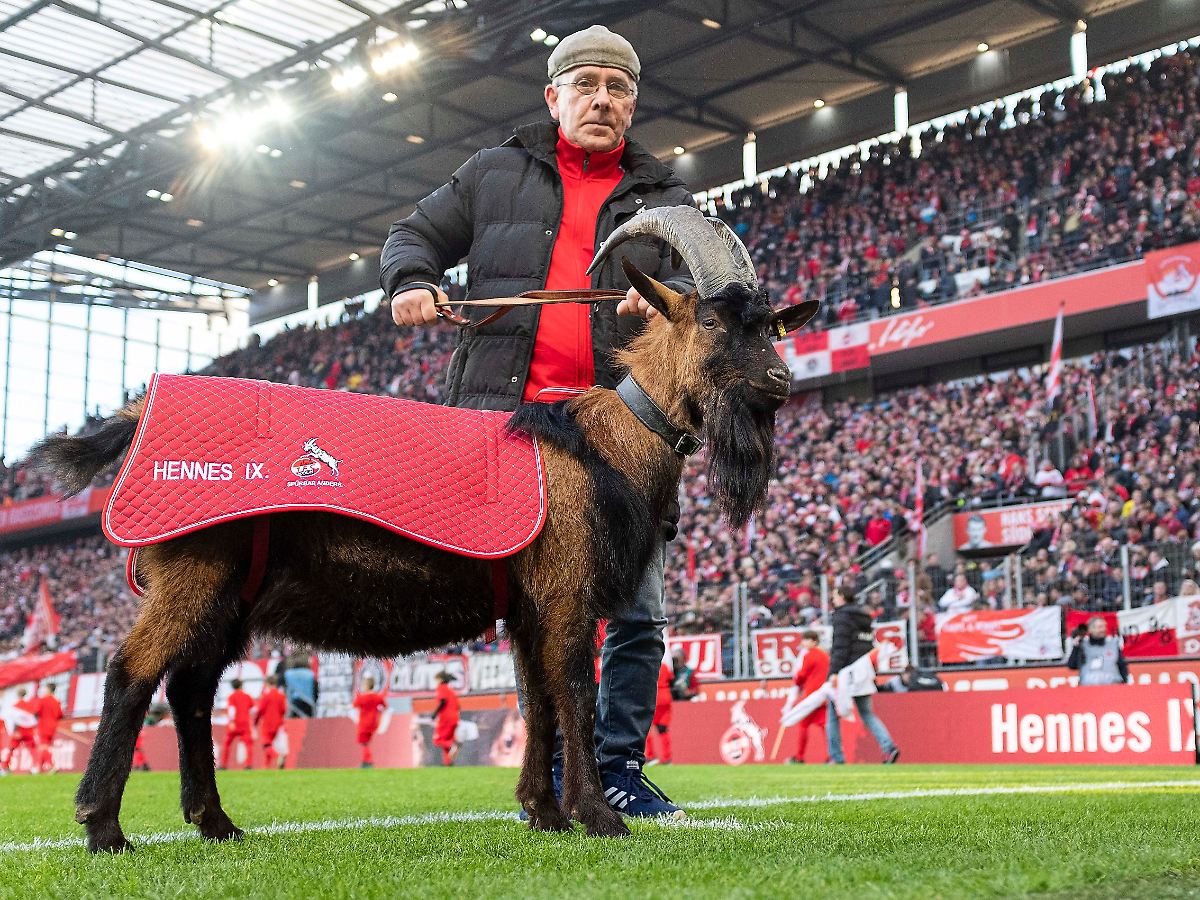 Ist Hennes eigentlich auch schon bei einem anderen Club im Gespräch oder bleibt der dem #effzeh wenigstens erhalten?