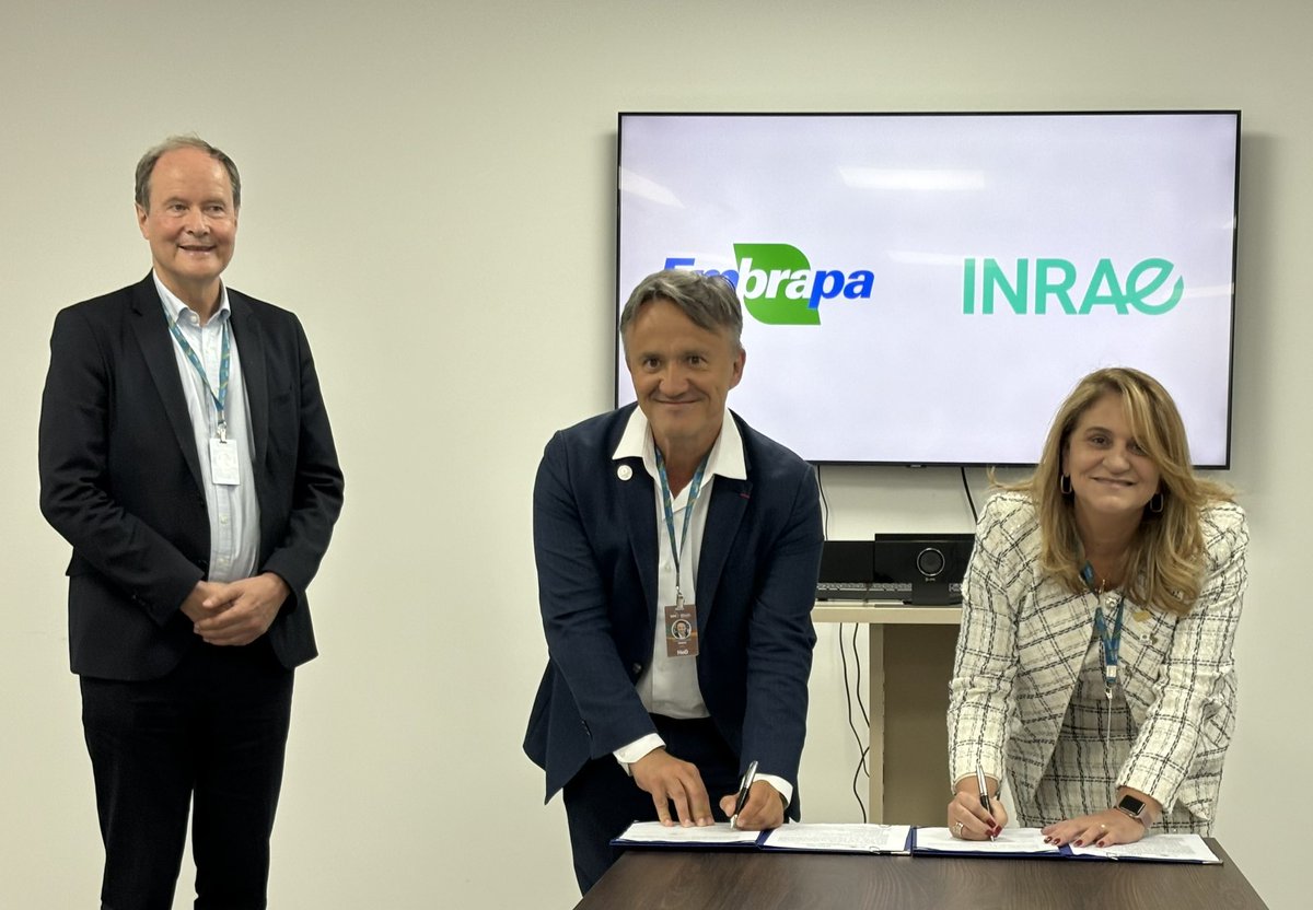 @Unesp_Global @PhMauguin @sup_recherche @Agri_Gouv @Unesp_Oficial @jcfreire @usponline Renewal of the framework agreement between @Embrapa and INRAE today at the MACS-G20 in Brasilia! Confirming the excellence of the international collaborations between the two institutes, this agreement provides for scientific and technological cooperation in the fields of