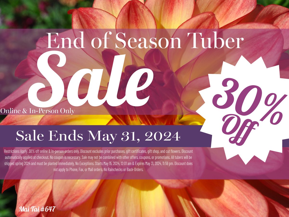 30% off - End of Season Tuber Sale! Order now, before their gone...

dahlias.com/shop/all-dahli…