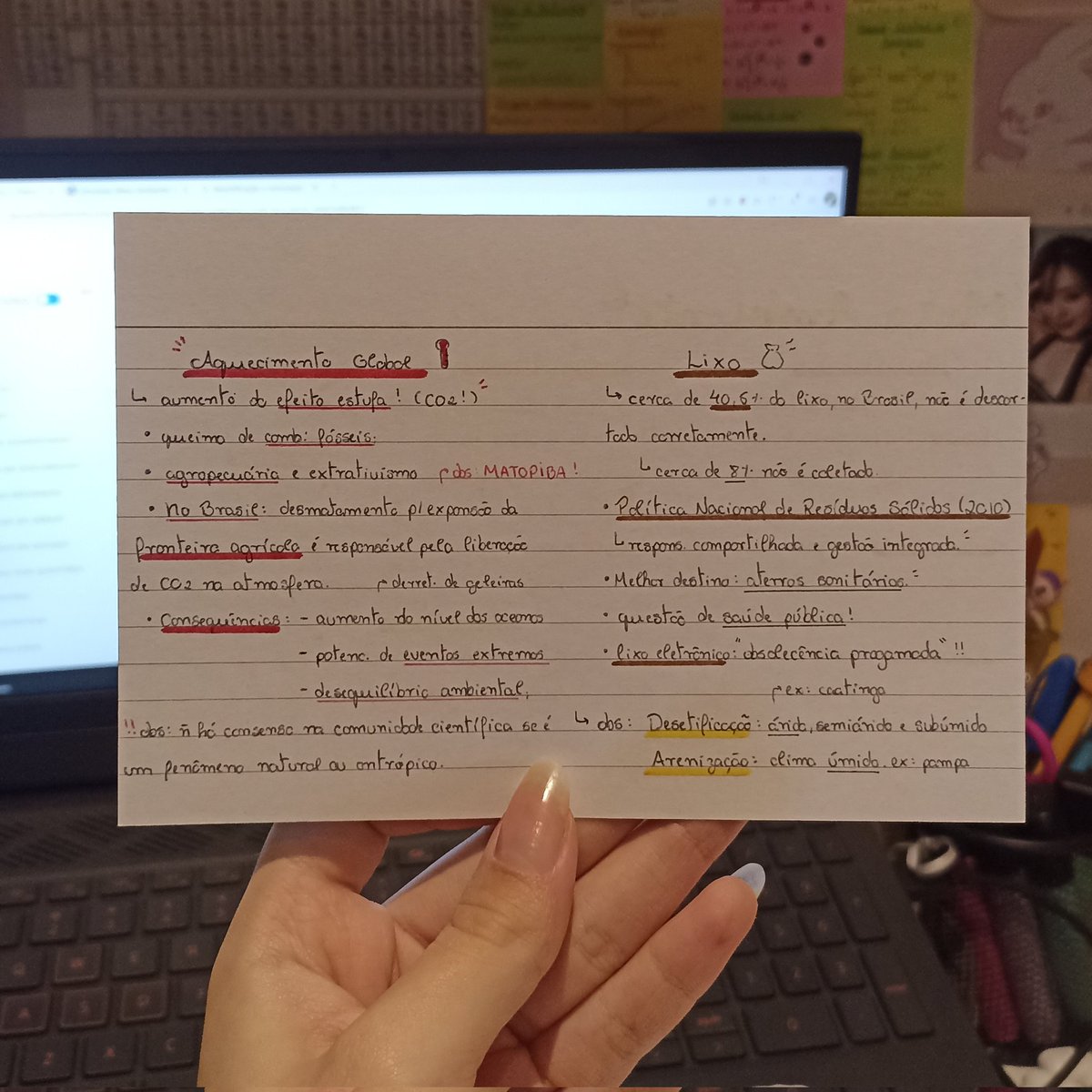 flashcard do melhor assunto de geo! 🌷