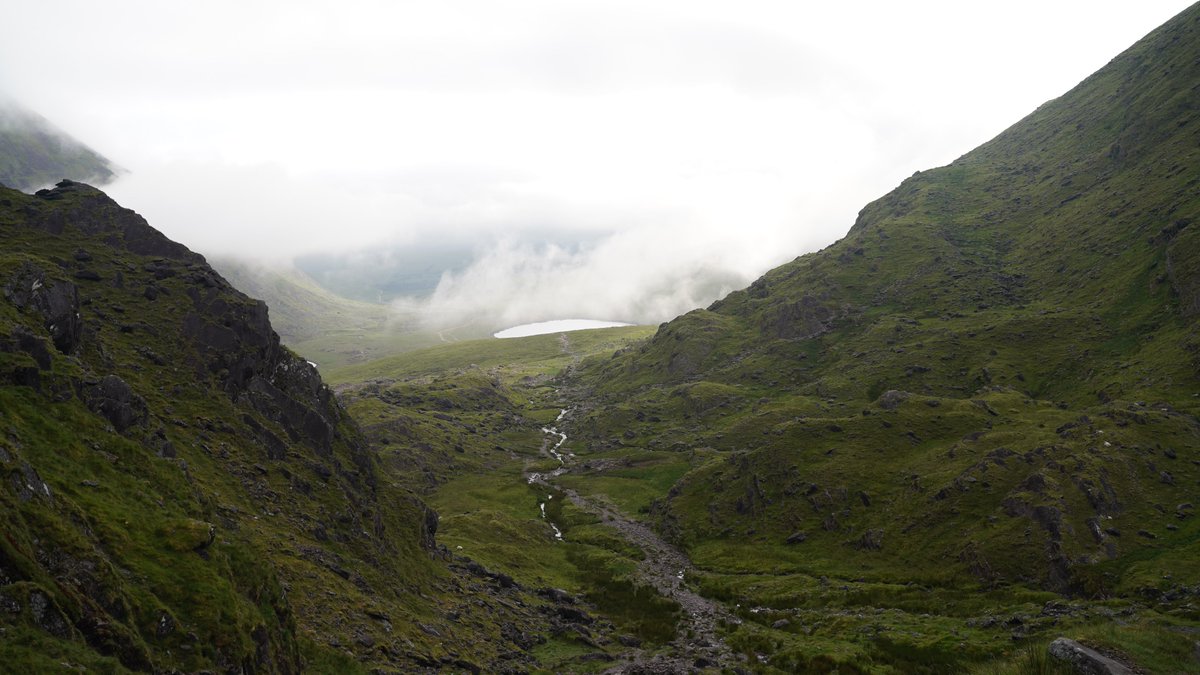 BeforeDeathOfficial tweet media