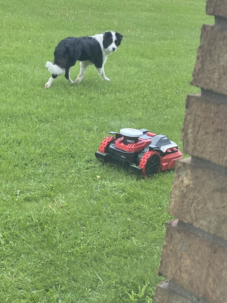 Tag checking out our Kress Robot Mower. @Allturf_Ltd 🐾Approved