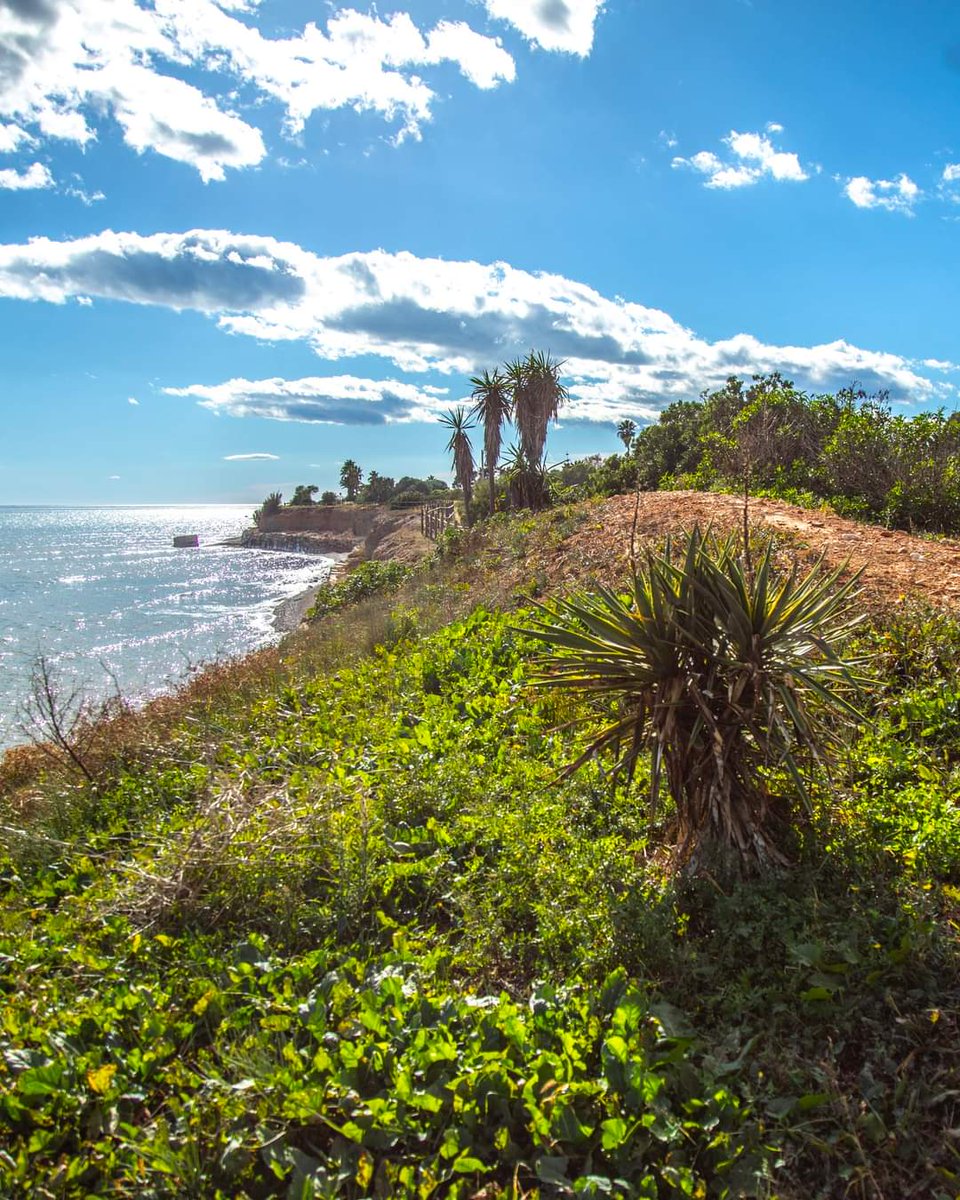 💚 Encara busqueu el vostre paradís mediterràni?

💚 Still searching for your Mediterranean paradise?

💚Cherchez-vous toujours votre paradis méditerranéen ?

Alcanar 
Les Cases