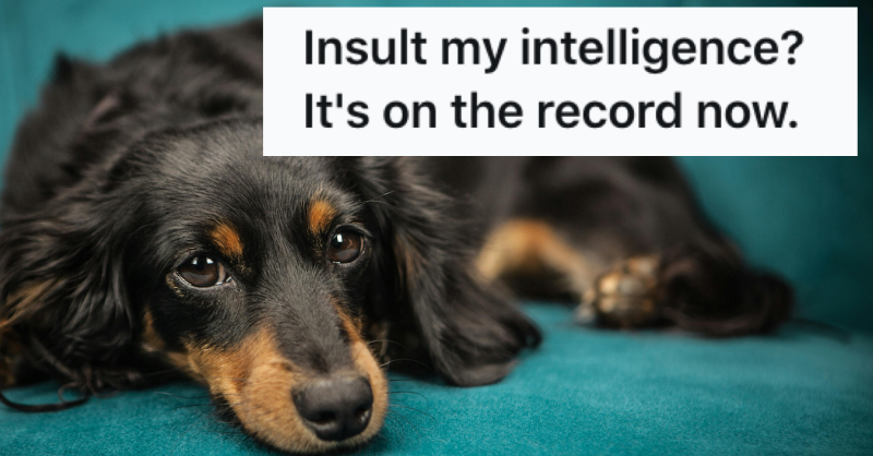 DidYouKnowFacts's tweet photo. This poor dog...