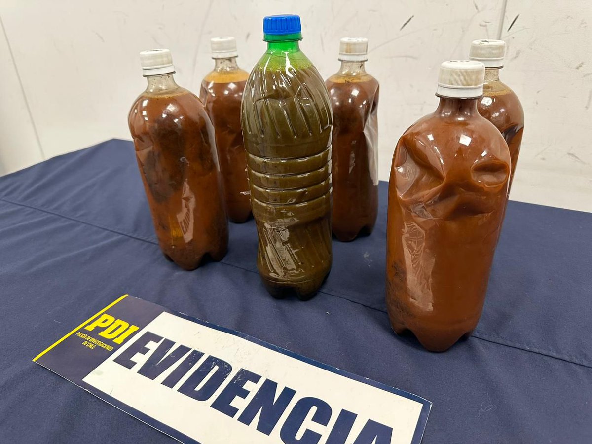 Sujeto intentó ingresar a Chile seis botellas con ayahuasca: Era para rituales en Santiago, según la PDI #CooperativaContigo tinyurl.com/25rut2rx