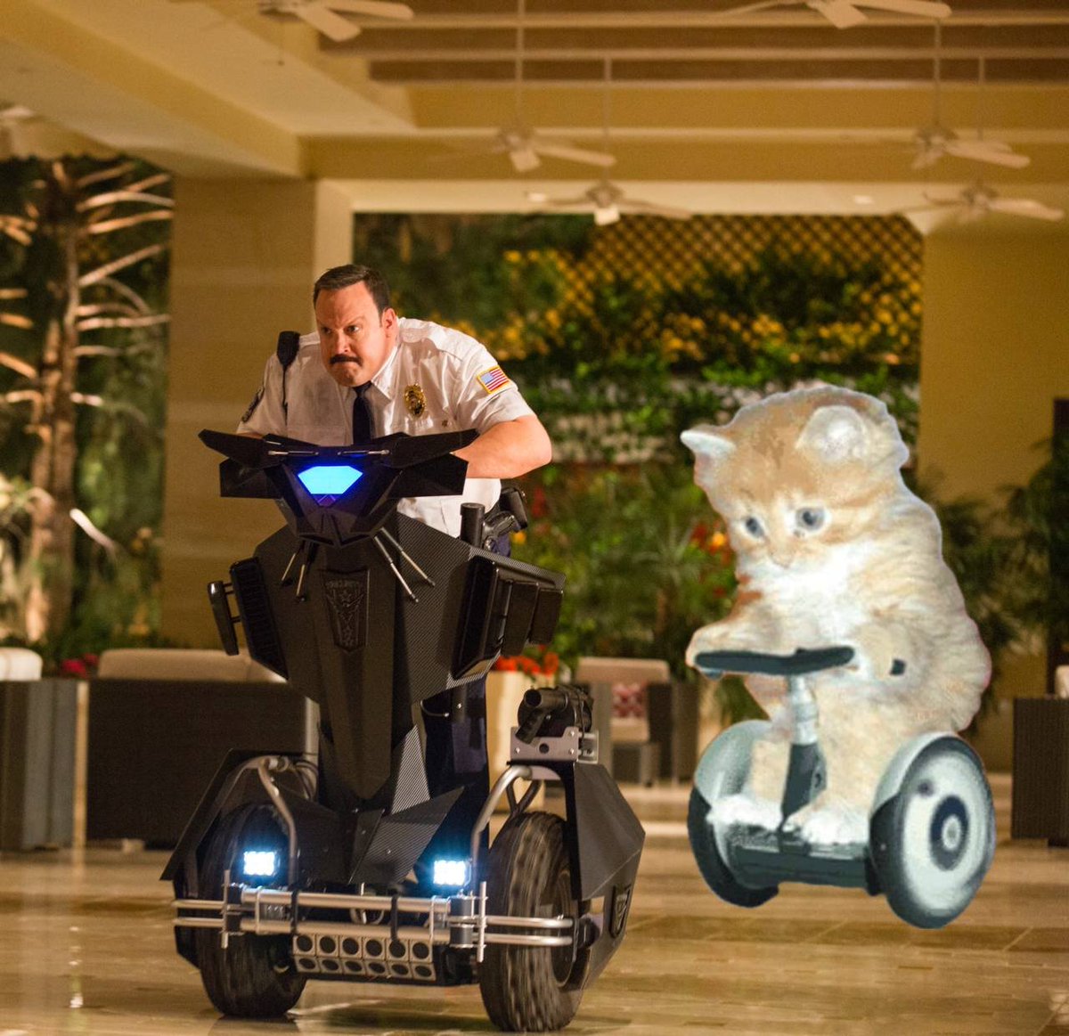 segcatsol's tweet photo. @yelotree @dillyxcooks $Segcat gaining on Paul Blart https://t.co/YvjYmb9p5M