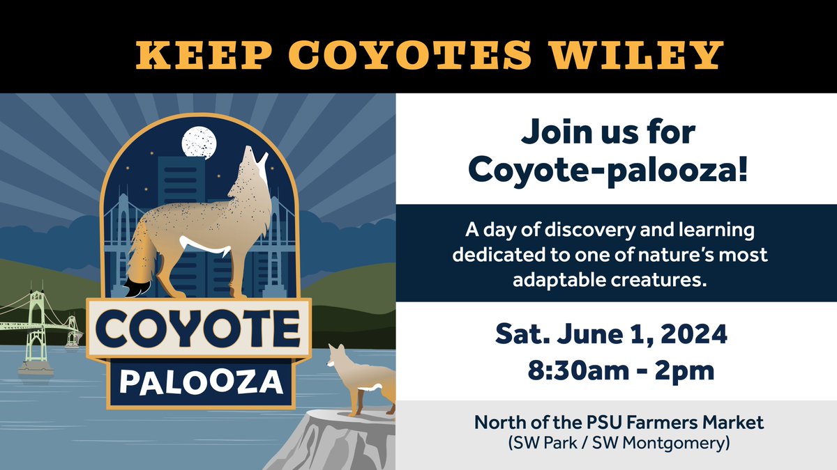 Join ODFW and partners for Coyote-palooza in Portland on June 1: a day of discovery and learning dedicated to one of nature’s most adaptable creatures! dfw.state.or.us/news/2024/05_M…