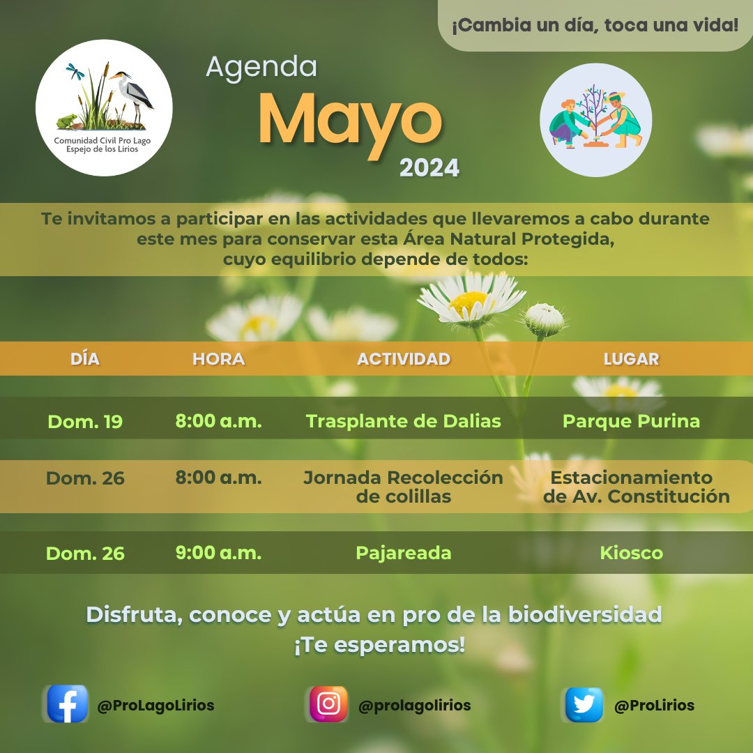 Comunidad Pro Lago Espejo de los Lirios tweet media