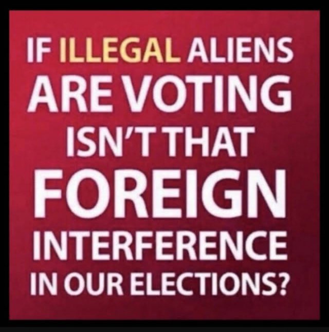 There’s no excuse for not requiring valid government issued identification in all states. If no identification is required to vote in certain states what stops illegals from voting?