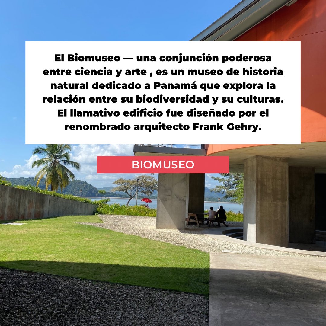 ¿Sabías que mayo es el mes de los museos? Aquí te compartimos los que más hemos visitado: el Biomuseo 🌿, el Museo de la Mola ☀️,  el MAC 🎨y el Museo de la libertad 🫶 ¿Y tú, cuál museo es el que más has visitado en Panamá? Coméntanos 👇🏽