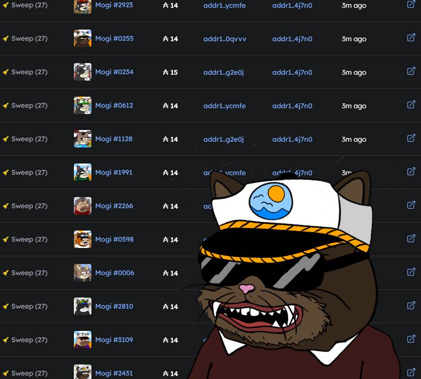 mogi_cet's tweet image. YOUR CETS ARE NOT SAFU 

27 PC SWEEP 

LIGHT WERK 

$MOGI