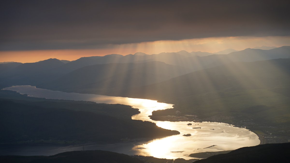 BeforeDeathOfficial tweet media