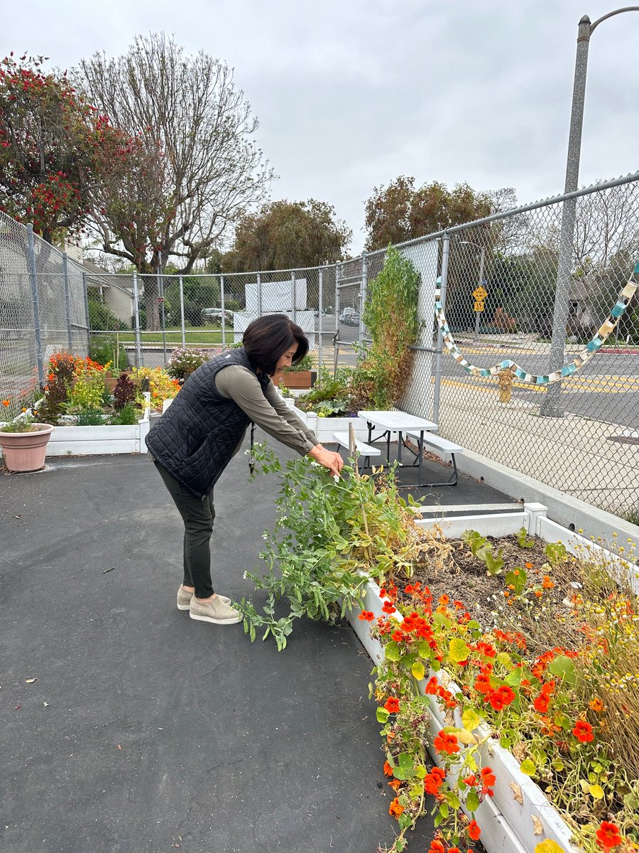 Great visits to #CommunityMagnet ES to meet with parent volunteers, @BrocktonES to catch a recorder rendition of 'Eye of the Tiger,' and #MarVistaES for another wonderful student performance and tour of the campus garden! 🎼🪈🌳🌱 @LASchools @LASchoolsWest