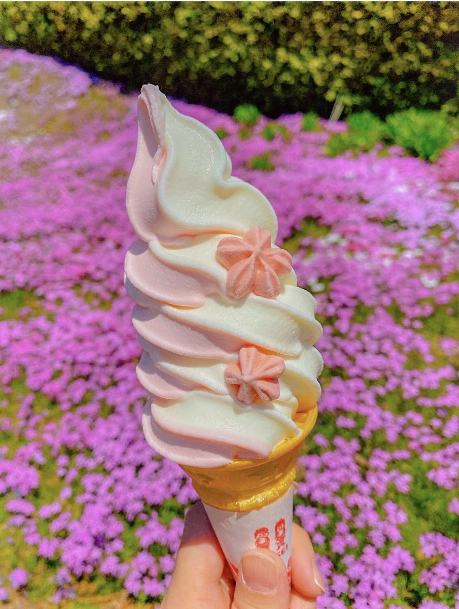 おはようございます❗️ 今日も、網走はいいお天気です 北天の丘から車で約30分 東藻琴芝桜公園 までドライブコース🚗にいかがでしょうか⁉️😊🌸