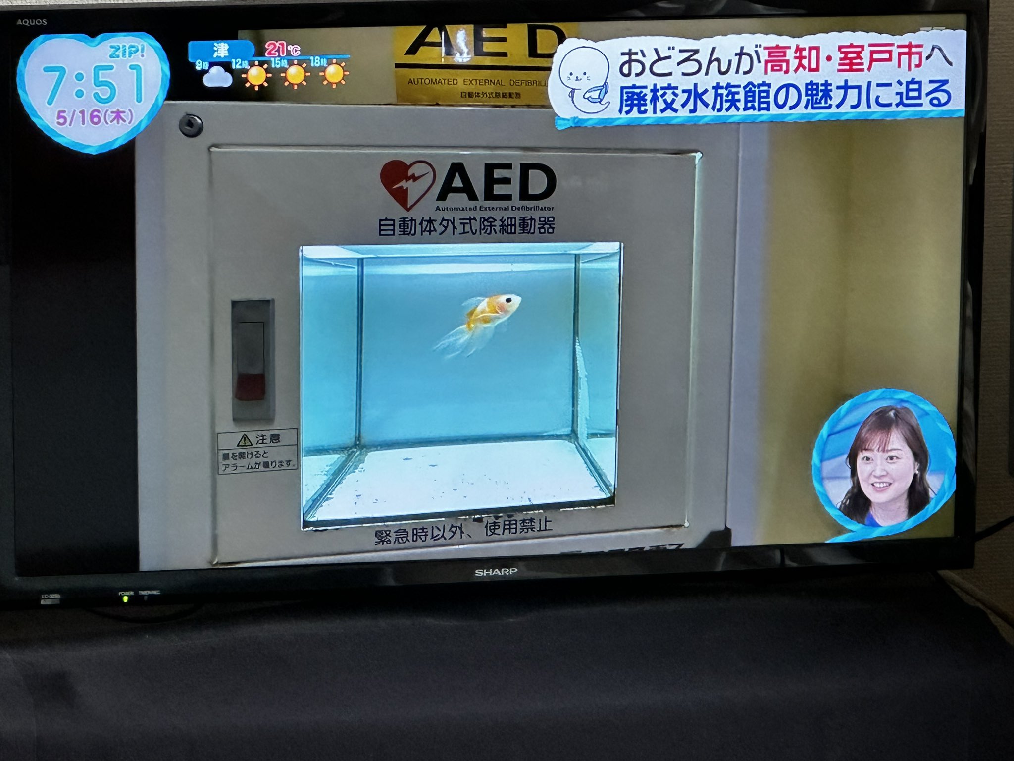 どんどんどんっさま確認ページ♡ のっぽʕ*̫͡*ʔ56 on X: 