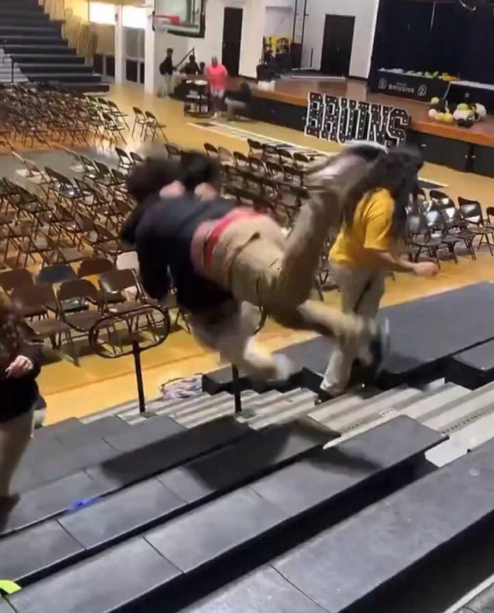 kira 👾 tweet media