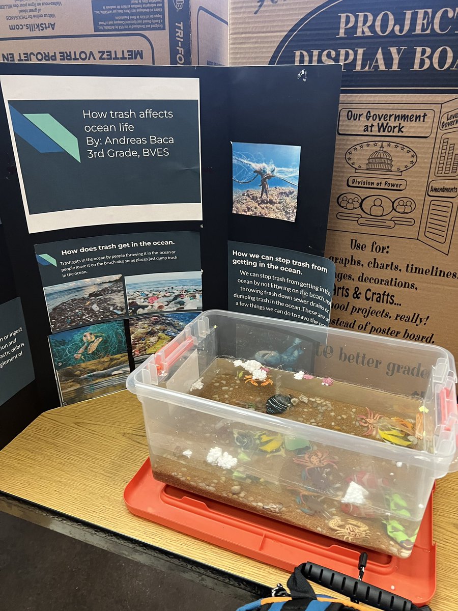 Veronica Reyes, M.Ed. (@vreyes5) on Twitter photo Book trailers, models, art and Utopian schools were just some of the projects <a href="/blancowildcats/">BVESWildcats</a> shared at their IDEAS Showcase. <a href="/HaysCISD/">Hays CISD</a> <a href="/HaysCISD_GT/">Hays Gifted and Talented</a> Book trailers, models, art and Utopian schools were just some of the projects <a href="/blancowildcats/">BVESWildcats</a> shared at their IDEAS Showcase. <a href="/HaysCISD/">Hays CISD</a> <a href="/HaysCISD_GT/">Hays Gifted and Talented</a>