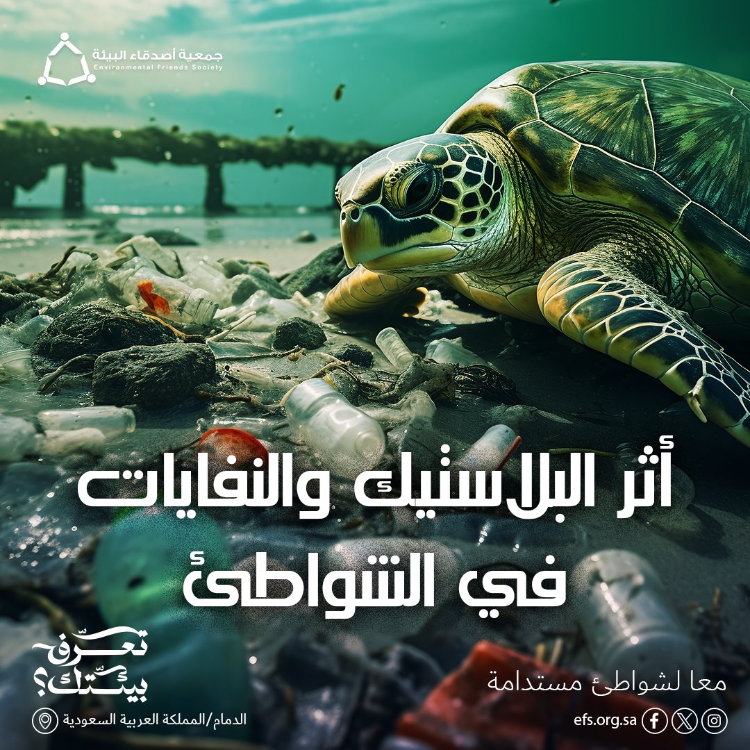 efsineastern's tweet photo. 🌊 أثر البلاستيك والنفايات في الشواطئ

تلوث البلاستيك والنفايات يهدد نظافة وجمال الشواطئ, تتراكم النفايات على الساحل،مما يعرض الحياة البحرية للخطر ويشوه جمال المنطقة
لنكن جزءًا من الحل، وليس جزءًا من المشكلة. شارك في جهود تنظيف الشواطئ وساهم في إعادة جمالها وحماية بيئتنا البحرية https://t.co/2AJKQ0fA1g