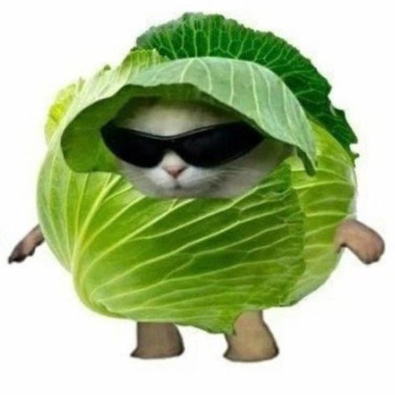 hola, michis :3. queríamos decirles que si tienen recursos que hayan compartido antes o les guste compartir, o incluso si hacen layouts, nos pasen su hilo/tweet/@ para nosotros sumarlo al hilo que estamos haciendo. !!! 

pueden ser psds, bios, gráficos, símbolos, tutoriales, etc.