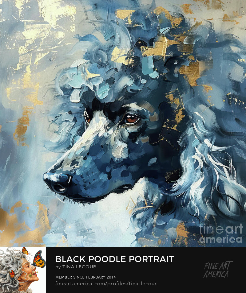 Black Poodle Portrait...Available Here..tina-lecour.pixels.com/featured/black…

#dog #dogs #poodle #animals #animalover #WallArtDecor #wallartforsale #wallart #homedecor #interiordecor #interiordesigner #giftideas #gifts #giftsforfriend #greetingcards #giftsforher #homedecoration #pets