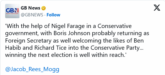 Jacob Rees-Mogg's cunning plan involves a 7 times unelected Nigel Farage, disgraced failure Boris Johnson.

And two people, Ben Habib and Richard Tice with even less chance of being elected than Nigel Farage.

You call a spade a spade, and a moron a moron.
