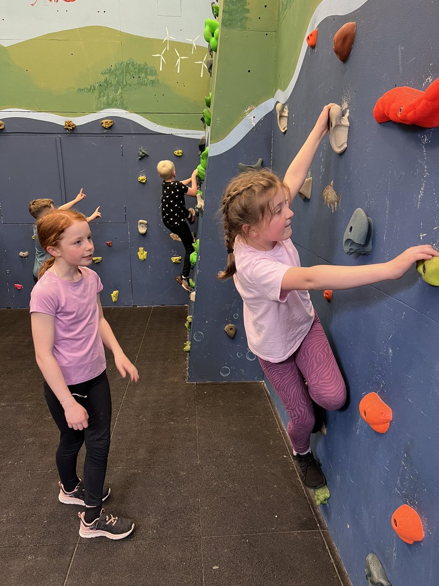 Year 5 Bryn Coch tweet media